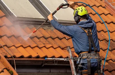 Démoussage et hydrofuge de toiture à Dominois